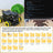Raspbot V2 AI Large Model Robot Car for Raspberry Pi 5