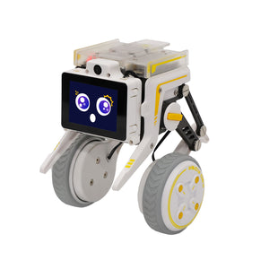 Rider-Pi Two Wheel-legged Robot(Raspberry Pi CM4 core module)