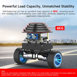 STM32 Self-balancing Robot Car(Load:4KG)