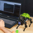 DOGZILLA-Lite AI Large Model Quadruped Raspberry Pi Robot Dog with robotic arm